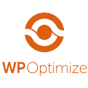 WP-Optimize plugin review and common issues