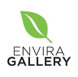 Envira Gallery plugin review and common issues
