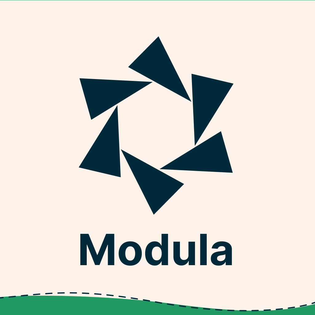 Modula plugin review and common issues