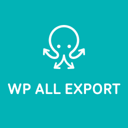 WP All Export plugin review and common issues